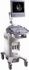 Siemens Acuson X300